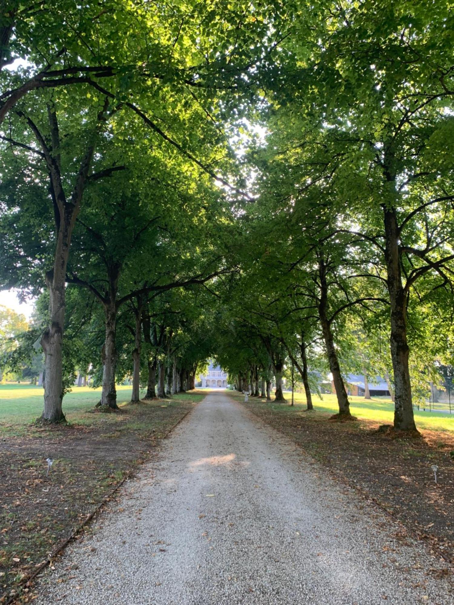 Chateau De L'Epinay - Domaine Du Marquis De Lafayette Dolus-le-Sec Bagian luar foto